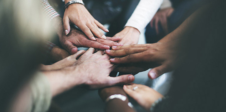 Software ontwikkeling bedrijf